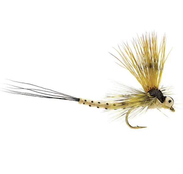 Mohican Mayfly #12